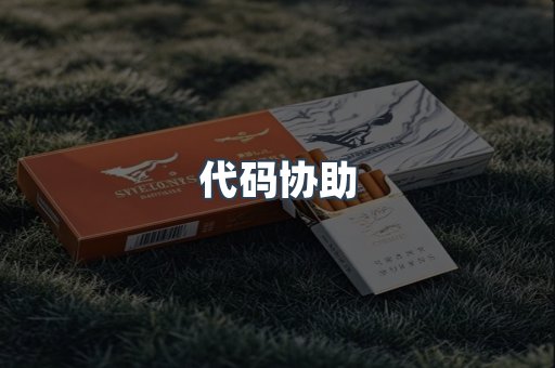 代码协助